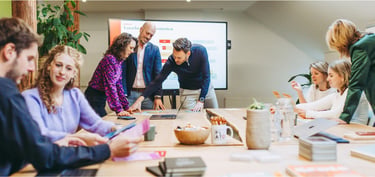 Ontwikkeling teams en professionals