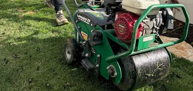 Aeration and Grass Overseeding