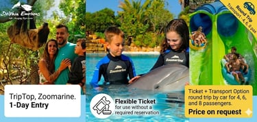 Family at Zoomarine enjoying a dolphin encounter and water park slides with flexible tickets.