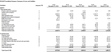 assets balance sheet_ixigo business analysis