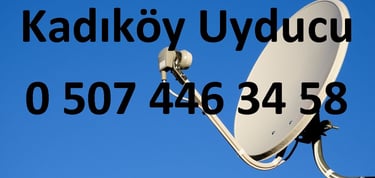 kadıköy uyducu çanak anten ayarı televizyon servisi