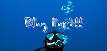 Blog Post Sandy Beach Dive Academy
