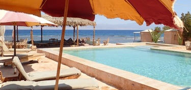 Bedouin star Ras shitan Egypt umbrella pool view