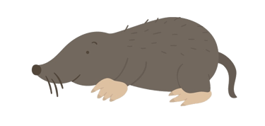 A little brown cartoon mole crawling along the boarder of the text box