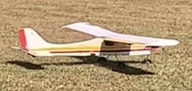 Dave B White Red Yellow 2