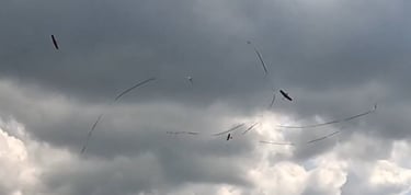 Malakoff Airfield Combat 1st Heat Electrics
