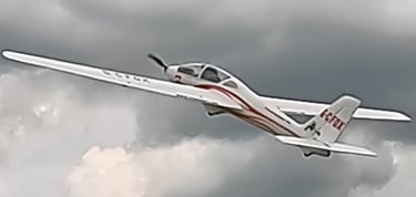 Mike G FMS Fox Glider (cloudy) 