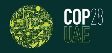 PESTICIDES LOBBYING COP ONU