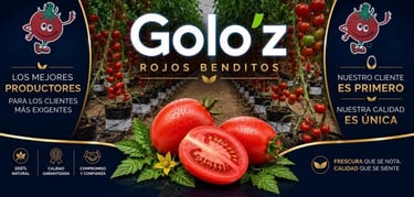 Banner principal de Golo'z Rojos Benditos, distribuidores de jitomates de alta calidad desde Puebla