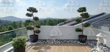 Rooftop garden with cloud-pruned trees and white pebbles – Yie Yang Landscape