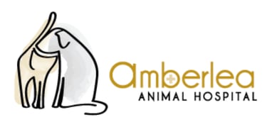 Link to Amberlea Animal Hospital
