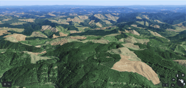 Vue Google Earth en Oregon aux États-Unis, avec visualisation des coupes rases