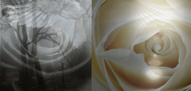entry points into trauma work can be shadow or light