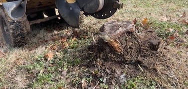 Before grinding on the cherry stump.