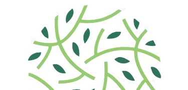 Logo de CODIBO BAMBÚ COBAMBUSA S.A.