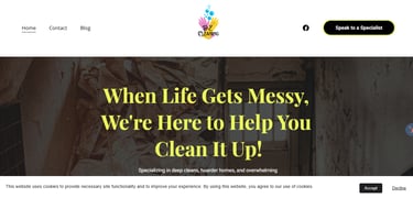 deep cleaning and hoarder cleaning website