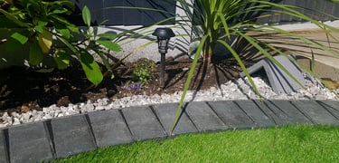 Exotic Modern Dynamic Designer Circle Lawn Tropical Small Garden