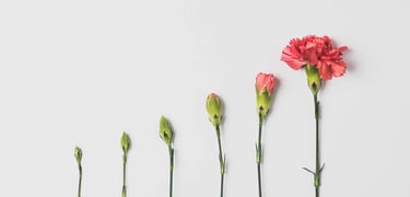Grandir pour faire de la croissance grâce à l'accompagnement individuel Vision wellness