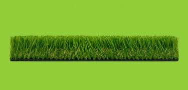 a green grass field with a green background