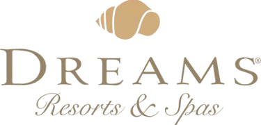 Dreams Tulum logo Studio Fauvve