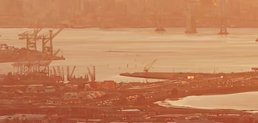 vector hyperrealism - THE GOLDEN STATE - detail 1