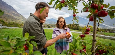 Agriculteur bio dans le verger familial de La Ferme du Coteau à Tournon Savoie