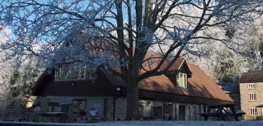CSON restaurant in Ludlow
