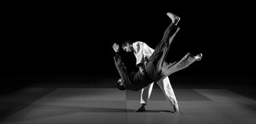 Contact Judo Paris 15 information renseignement