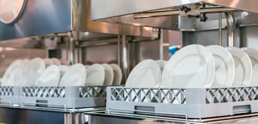 Commercial kitchen dishwasher with plate stand holding plates for drying, showcasing efficient dishwashing equipment for rest