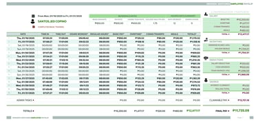 spreadsheet customization
