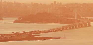 vector hyperrealism - THE GOLDEN STATE - detail 3