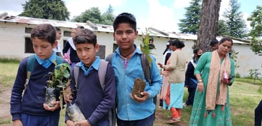 Best NGO for tree plantation