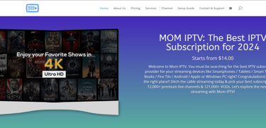 screenshot of momiptv website