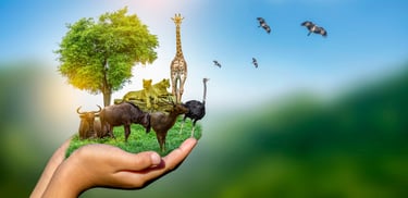 métier en rapport avec la nature et les animaux