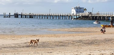 Kingfisher Bay Resort - Jetty