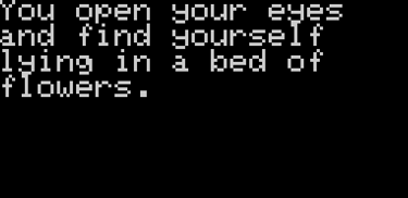 Arduboy Shadows and Eternity Bed of Flowers