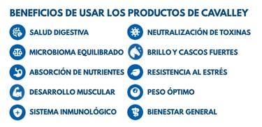 Beneficios de usar los Productos para caballos de CAVALLEY