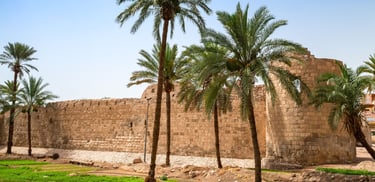Vista das palmerias no páliacio do Fort, em Aqaba.