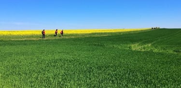 a blog for ESL teachers