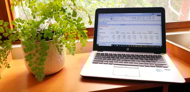 Relaxed office view with fern and laptop showing excel profit & loss template