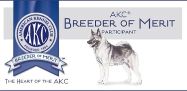 AKC Breeder of Merit