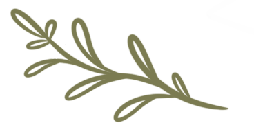a branch of olives with olives and olives