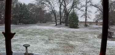 Snowflakes in January 2025