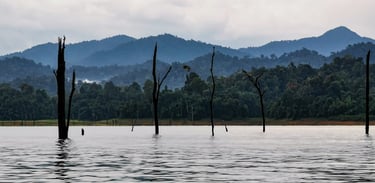 Khao Sok National Park