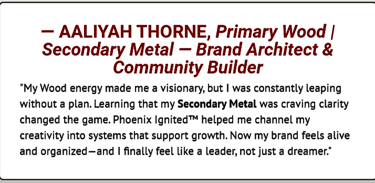 DM screenshot of Wood + Metal Archetype – Visionary entrepreneur celebrates discovering her strategic dual archetype