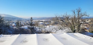 Vue depuis l'élevage de Schnauzers nains