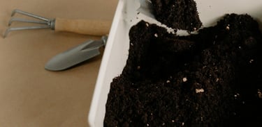 Soil being scooped from a container