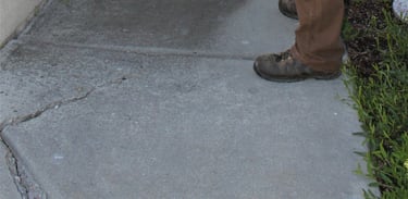 how to keep bugs out of house