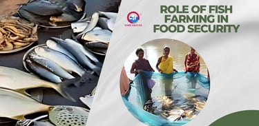 Role of fish farming in food security