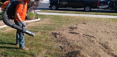 Lawn Power Raking and Thatch removal company